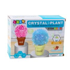 slomart Edukativni set LEAN TOYS - uzgoj čudesnog kristalnog drvca