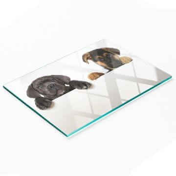tulup.cz Staklena daska za posluživanje s grafikom tri šteneta 80x52 cm