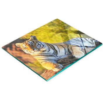 tulup.cz Staklena daska za posluživanje s grafikom portreta tigra 60x52 cm