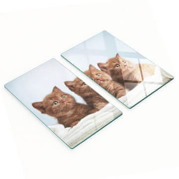 tulup.cz Set od dva staklena kuhinjska ručnika za mačiće 2x30x52 cm