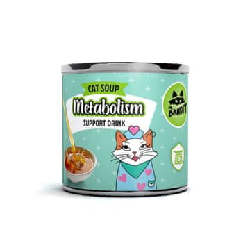 VetExpert VETEXPERT Mr. Bandit Pomoć za metabolizam s lososom (funkcionalni napitak za mačke) 95 ml