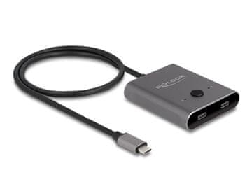 Delock DeLOCK 8280241 Hub, USB 3.2 Gen 2 Type-C, 10000 Mbit/s, sivi