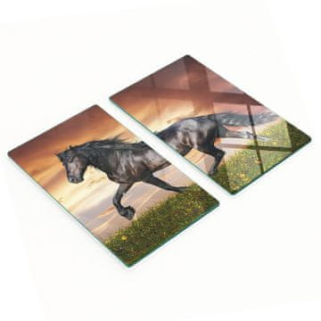Set kaljenih kuhinjskih staklenih daski s printom konja 2x30x52 cm