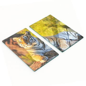Staklene kuhinjske daske za posluživanje s grafikom portreta tigra 2x30x52 cm