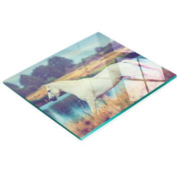 tulup.cz Staklena daska za posluživanje s grafikom jezera Schimmel 60x52 cm