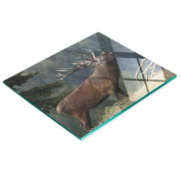 tulup.cz Staklena daska za posluživanje s grafikom jelena na brdu 60x52 cm