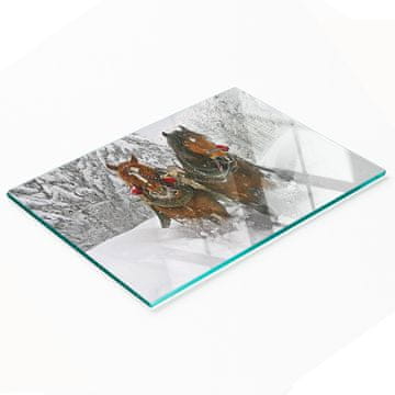 Staklena kuhinjska daska za rezanje s grafikom sanjkanja 80x52 cm