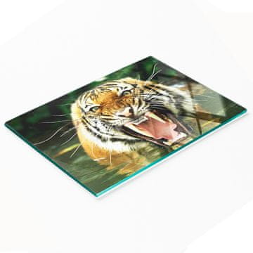 tulup.cz Kaljena višenamjenska dekorativna staklena ploča Roaring Tiger 80x52 cm