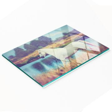 tulup.cz Staklena daska za posluživanje s grafikom jezera Schimmel 80x52 cm
