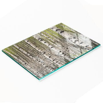 tulup.cz Staklena ukrasna daska za posluživanje grickalica Brezova šuma 80x52 cm