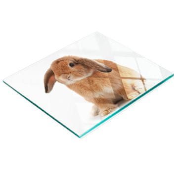 tulup.cz Dekorativna staklena daska za rezanje za kuhinju Crveni zec 60x52 cm