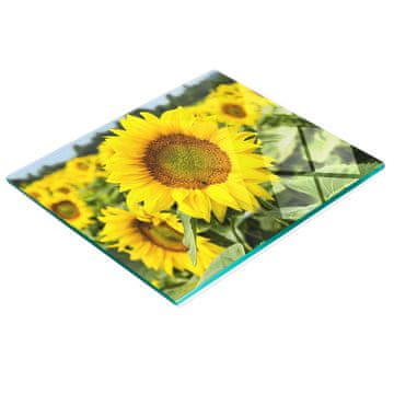 tulup.cz Elegantna i izdržljiva staklena ploča s otiskom polja suncokreta 60x52 cm