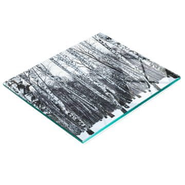 tulup.cz Dekorativna staklena daska za rezanje i posluživanje Zimska breza 60x52 cm