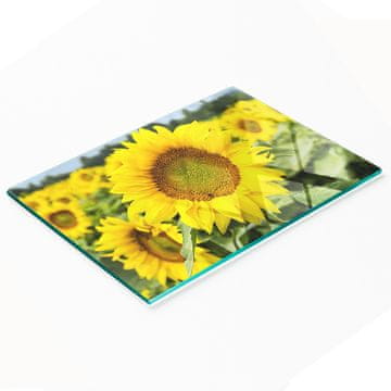 Staklena ploča s printom polja suncokreta, 80x52 cm