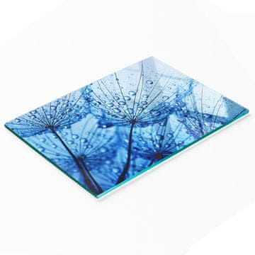 tulup.cz Kaljena višenamjenska ukrasna staklena ploča Maslačak 80x52 cm