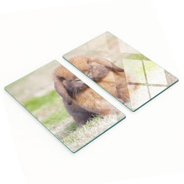 tulup.cz Elegantne i izdržljive staklene ploče s otiskom slatkog zečića 2x30x52 cm