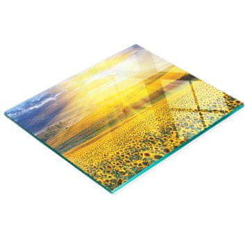 tulup.cz Kuhinjska ploča od kaljenog stakla s grafikom polja suncokreta 60x52 cm