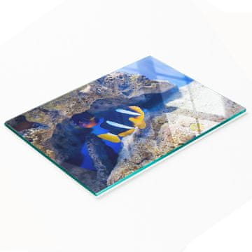 tulup.cz Kuhinjska višenamjenska ukrasna staklena ploča Tropske ribice 80x52 cm