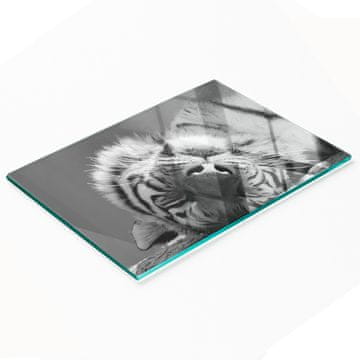 tulup.cz Staklena ukrasna daska za posluživanje grickalica Sleeping Tiger 80x52 cm