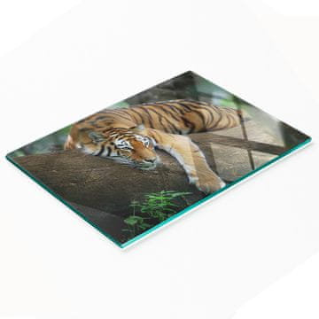 tulup.cz Elegantna i izdržljiva staklena ploča s otiskom tigra na drvetu 80x52 cm