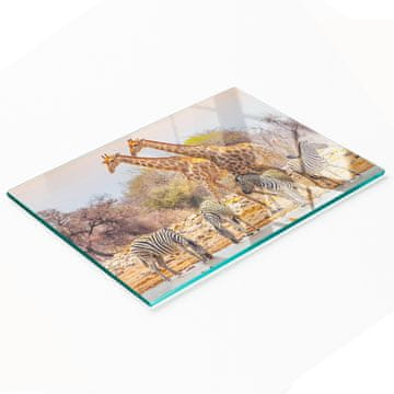 tulup.cz Dekorativna staklena daska za rezanje u kuhinji Žirafa i Zebra 80x52 cm