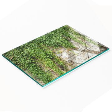 tulup.cz Kuhinjska višenamjenska dekorativna staklena ploča Zeleni bršljan 80x52 cm