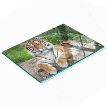 tulup.cz Kuhinjska ploča od kaljenog stakla s grafikom sibirskog tigra 80x52 cm