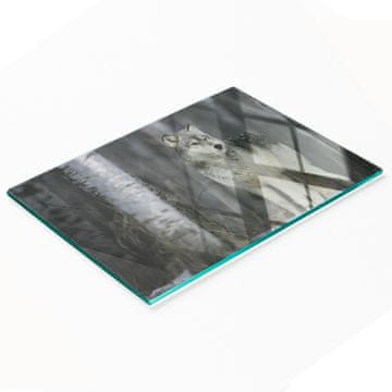 tulup.cz Kuhinjska višenamjenska dekorativna staklena ploča boje vučjeg sivog 80x52 cm