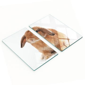 tulup.cz Staklene daske za rezanje za kuhinju s grafikom crvenog zeca 2x30x52 cm