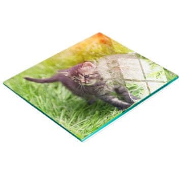 Staklena kuhinjska daska za posluživanje s grafikom mačke maslačka 60x52 cm