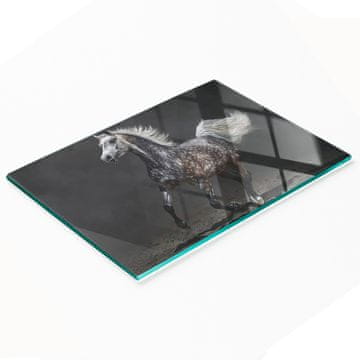tulup.cz Staklena ukrasna daska za posluživanje grickalica Arapski konj 80x52 cm