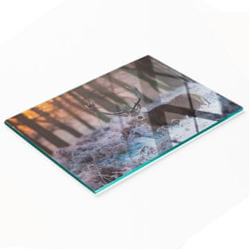 tulup.cz Staklena daska za posluživanje grickalica Izlazak sunca nad jelenom 80x52 cm