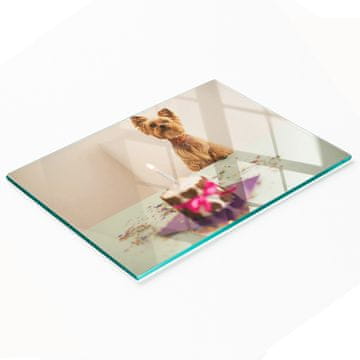 Višenamjenska ukrasna staklena ploča za kuhinju Psić s kolačem 80x52 cm