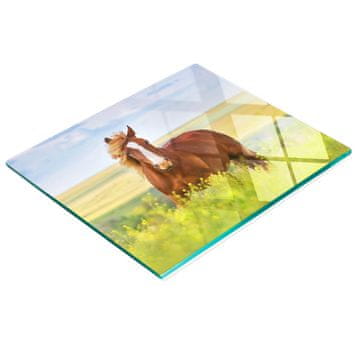 Kaljena staklena daska za kuhanje s ukrasnom grafikom smeđi konj 60x52 cm