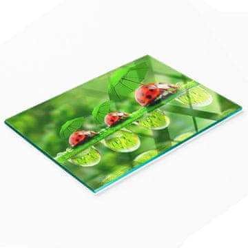 Dekorativna kuhinjska daska od kaljenog stakla za rezanje Biedronka 80x52 cm