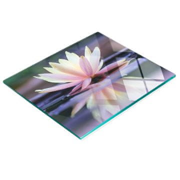 Staklena dekorativna ploča s grafikom za posluživanje grickalica Lotos 60x52 cm