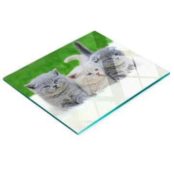 tulup.cz Staklena daska za rezanje s grafikom deke s tri mačke 60x52 cm