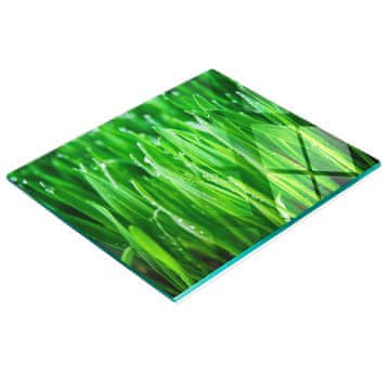 Staklena dekorativna ploča s grafikom za posluživanje grickalica trava 60x52 cm