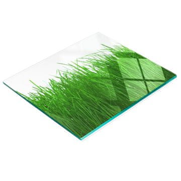 Staklena dekorativna daska s grafikom za posluživanje grickalica trava 60x52 cm