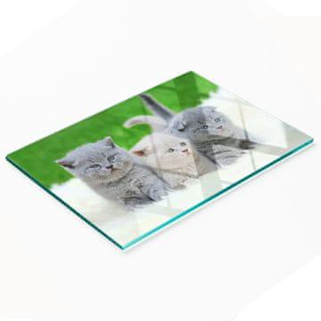 tulup.cz Staklena daska za rezanje s grafikom deke s tri mačke 80x52 cm