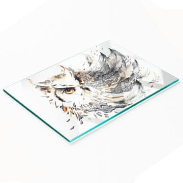 Staklena dekorativna ploča s grafikom za posluživanje grickalica sova 80x52 cm