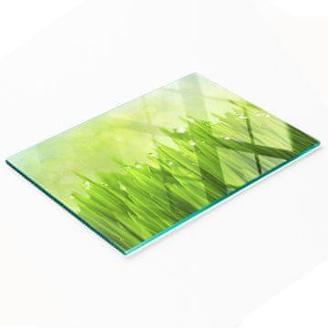 Ukrasna staklena kuhinjska daska za rezanje i posluživanje trava 80x52 cm