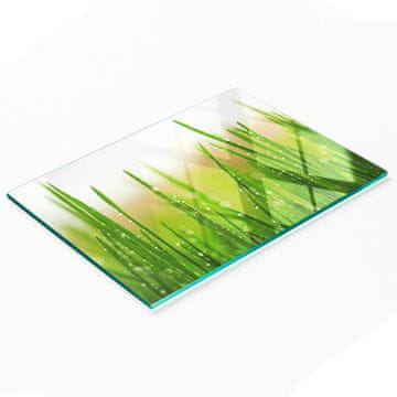 tulup.cz Dekorativna kuhinjska staklena daska za rezanje i posluživanje Trava 80x52 cm