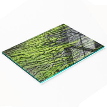 tulup.cz Staklena ukrasna daska za posluživanje grickalica od kore drveta 80x52 cm