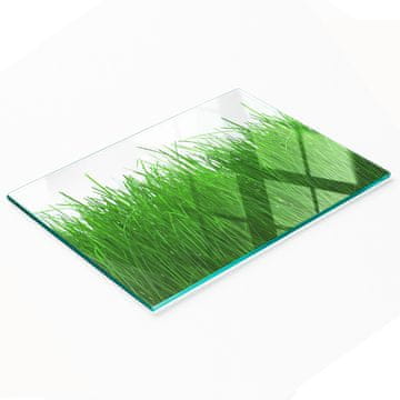 Staklena dekorativna ploča s grafikom za posluživanje grickalica trava 80x52 cm