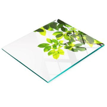 tulup.cz Kuhinjska višenamjenska ukrasna ploča od kaljenog stakla s listovima 60x52 cm