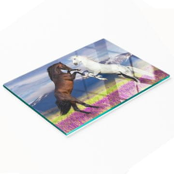 Staklena dekorativna ploča za posluživanje grickalica Góry Końskie 80x52 cm