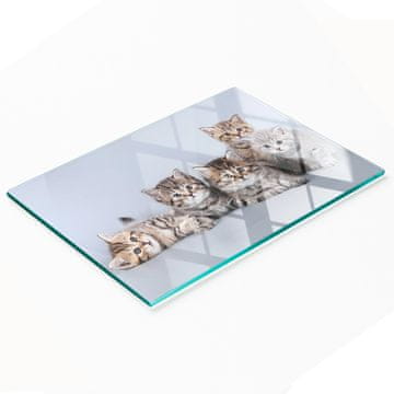 Trajna i elegantna staklena kuhinjska daska s uzorkom pet mačaka, 80x52 cm