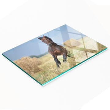 Kuhinjska višenamjenska dekorativna staklena daska Galopirajući konj 80x52 cm