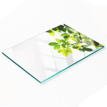 Kuhinjska višenamjenska dekorativna daska od kaljenog stakla s lišćem 80x52 cm